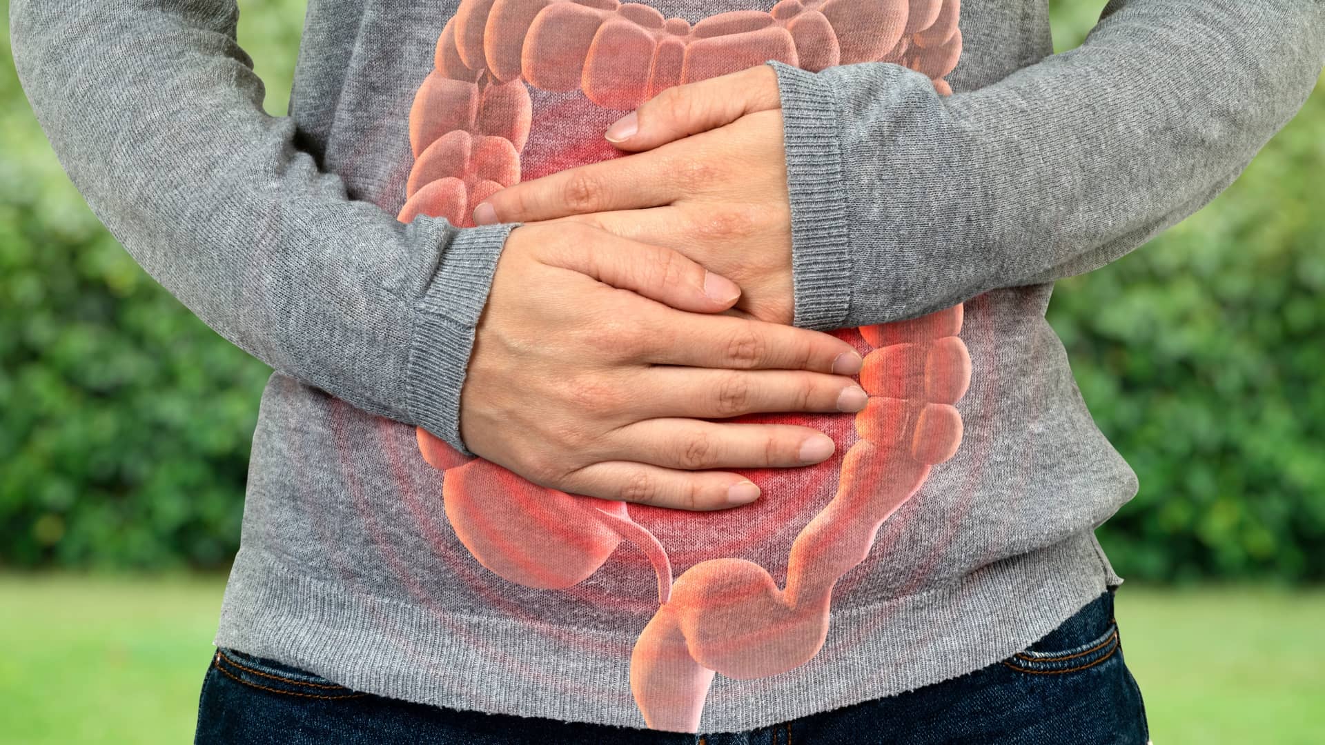 Kuitu helpottaa suolen toimintaa Healthy bowel examination as gastrological organ checkup tiny person concept